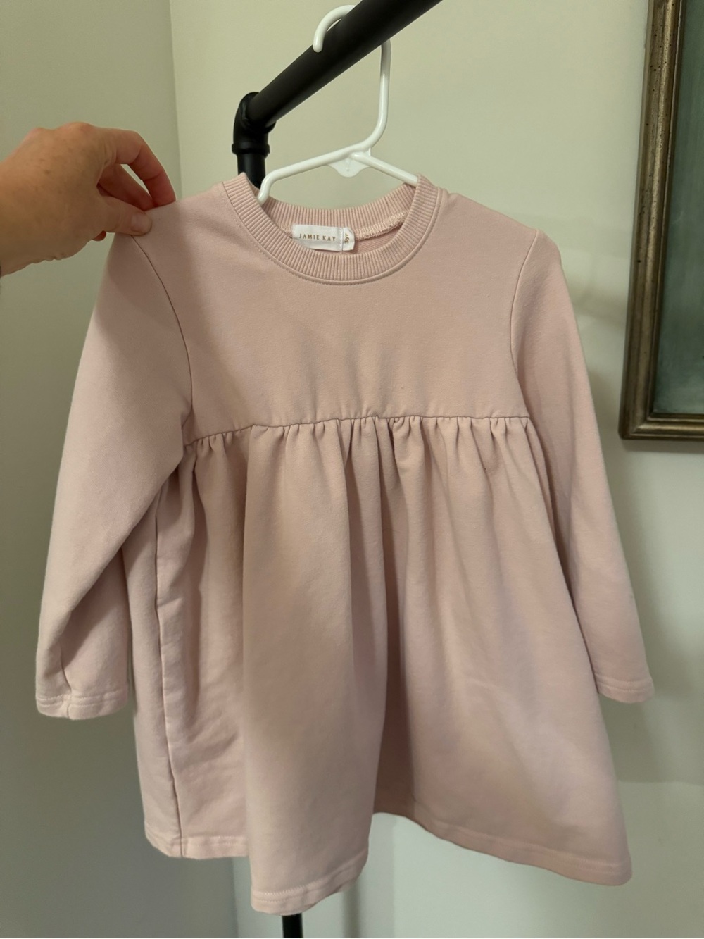 Jamie Kay Soft Blush Long-Sleeve Babydoll Sweatshirt dress
